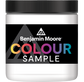 Bespoke Decor NI Benjamin Moore sample pot paint