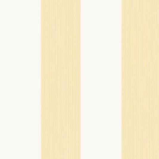 Farrow & Ball Broad Stripe - Wallpaper 210 x 270 mm