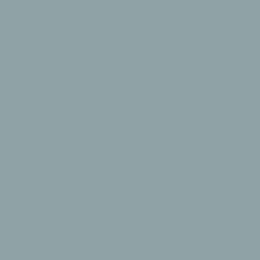 Bespoke Decor Colour page - No.CB8 - Sardine paint